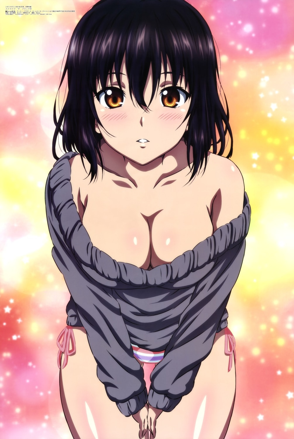 Strike the Blood season 1 - Toonhub4u