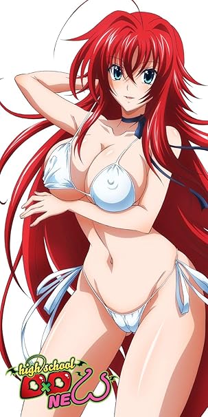 High School DxD Season 4 in hindi - Toonhub4u 